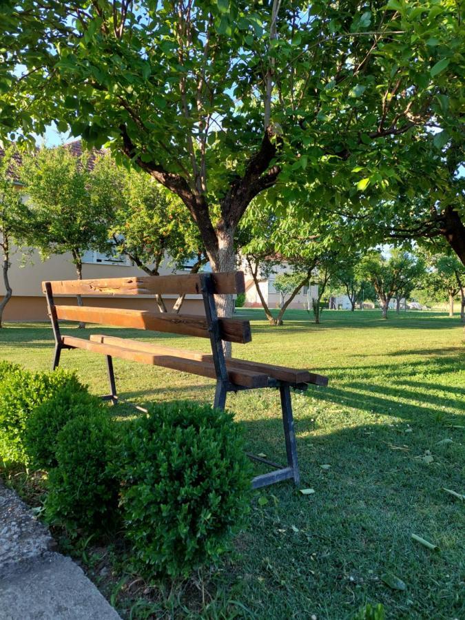Apartment Helena Airport Podgorica Zewnętrze zdjęcie